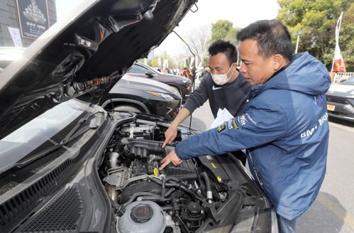 杭州举办 问题车展 现场解决汽车问题